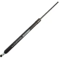 TRISCAN 8710 29261 Gasveer achterklep