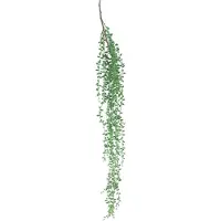 Erutan avon Hanging senecio spray green 86 cm kunstbloem