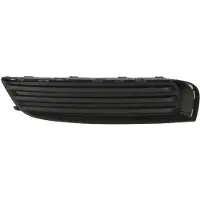 BLIC 6502-07-5079917P Ventilatiegrille, bumper