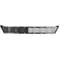 BLIC 6502-07-5501984P Ventilatiegrille, bumper