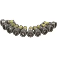 SACHS Schroevenset vliegwiel 1874 000 051