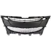 BLIC 6502-07-3408910P Ventilatiegrille, bumper