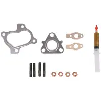 Evoron EVMK0170 Turbocharger, montageset
