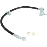 Delphi Remslang LH7281