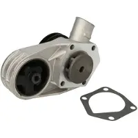 THERMOTEC D1S002TT Waterpomp