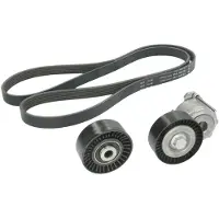INA Multiriem set 529001810 Ina voor o.a. CITROEN, PEUGEOT
