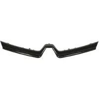 BLIC 6502-07-6009995P Sier- / Beschermingspaneel, radiateurgrille