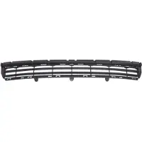 BLIC 6502-07-0552994Q Ventilatiegrille, bumper