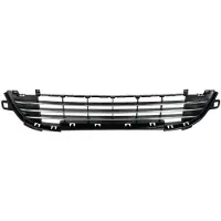BLIC 6502-07-5508911Q Ventilatiegrille, bumper
