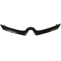 BLIC Sierlijst/beschermstrip, radiatorrooster 6502-07-6034991P