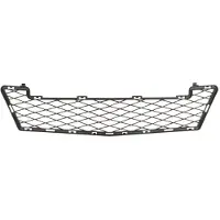 BLIC Ventilatierooster, bumper 6502-07-3506912P