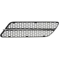 BLIC 6502-07-0109921Q Ventilatiegrille, bumper