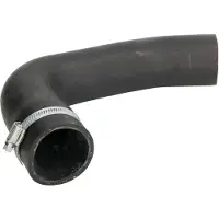 SASIC Laadluchtslang 3336207