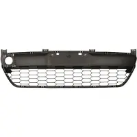 BLIC Ventilatierooster, bumper 6502-07-3421910P