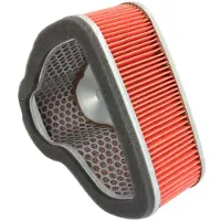 Hiflofiltro Honda Hfa1925 Luchtfilter