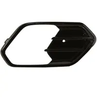 BLIC 6502-07-2579998PP Ventilatiegrille, bumper