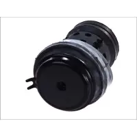 Topran Lager, Motor 103 019