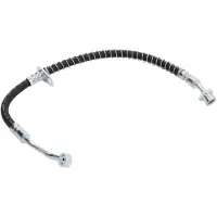 Delphi Remslang LH6976