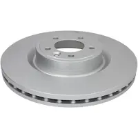 Delphi BG9349C Remschijf