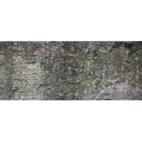 Architects Paper Fotobehang StoneTrough DD108725 AP Digital 4 | 3D Fotobehang op maat