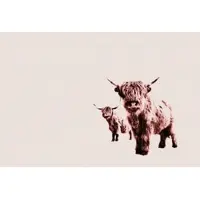 A.S. Création Fotobehang HighlandCows DD119829 ARTist Beige Creme Vlies 270 x 400 cm (4 delen) 3D Fotobehang