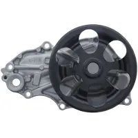Valeo 529694 Waterpomp