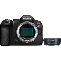 Canon EOS R6 Mark III + EF - RF Mount Adapter