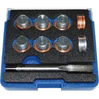 Bgs 151 Reparatieset voor olieaftapplugdraad, M14x1.25