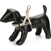 Beeztees Hondentuig Parinca Premium Comfort Grijs 82-105 X 3 Cm