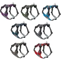 Hunter Divo servies (XS, Hond)