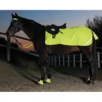 Waldhausen REFLEX nierdeken, fleece Pony Geel