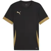 Puma Trainingsshirt teamGOAL - Zwart/Goud Kids