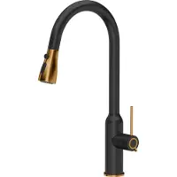 Quadron Keukenkranen, Virtuvinis maišytuvas Quadron Jessica Q LINE PullOut SteelQ stovi juodas su elementais, padengtais v