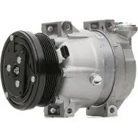 RIDEX 447K0049 Aircopomp