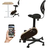 Skandika Office Bike - Deskbike voor het thuiskantoor, compatibel met Kinomap-app, fietszit tot 150 kg, 8 weerstandsniveaus | hometrainer, bureaufiets voor thuis, bureautafel, fietsbureau