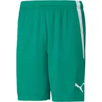 Puma Teamliga shorts voor heren - groen