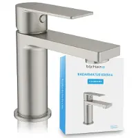 Bächlein Badarmatuur Edessa in modern design, eengreepsmengkraan met duurzame keramische cartridge en installatieset, badarmatuur in geborsteld roestvrij staal
