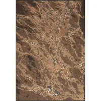 Acsento Faro 884 Brown Black Vloerkleed - 200 x 300 cm - Bruin - Rechthoekig - Viscose, Polyester - Eetkamer, Woonkamer - Abstract - Design, Modern