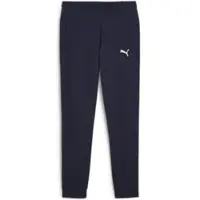Puma Vrouwen, Sportbroek, teamGOAL Casuals Broek Wmn (XS), Blauw, XS