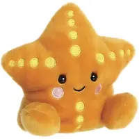PALM PALS - Knuffel - Treasure Starfish