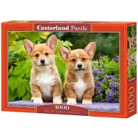 Castorland Welsh Corgi Puppies Puzzel (1000 stukjes)