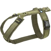 AnnyX Honden Tuigje – Maat XXS – Olijfgroen – Voor Kleine Hondjes & Puppy’s