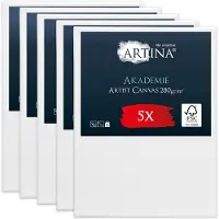 Artina Akademie – Set van 5 Schilderdoeken Canvas 50x70 cm – Spieraam van FSC Hout – Wit Canvas 100% Katoen – 280 g/m142