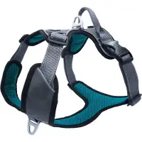 Petlando Hondenharnas Outdoor Grijs&Petrol - Hondentuig - M 56-68 Cm