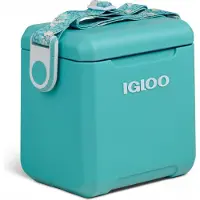 Igloo - Tag-A-Long Too 11 - Koelbox 10 l, turkoois