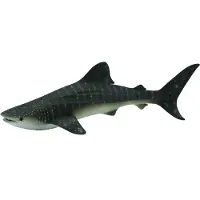 Collecta Haai