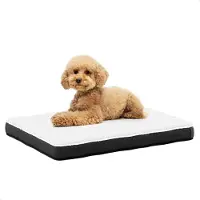 Avalo Orthopedisch Hondenkussen M - 76x51 cm - Traagschuim - Wasbaar - Antislip - Wit Zwart