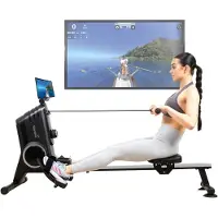 Skandika roeitrainer Oxford Pro - Magneetrem, Bluetooth, indoor roeitoestel met app, 8 weerstandsniveaus, tot 120 kg | Roeitrainer voor thuis, roeimachine, krachttraining, roeitrainers