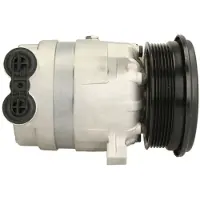 Delphi TSP0155013 Aircopomp