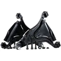 RIDEX 772S0055 Reparatieset, wieldraagarm